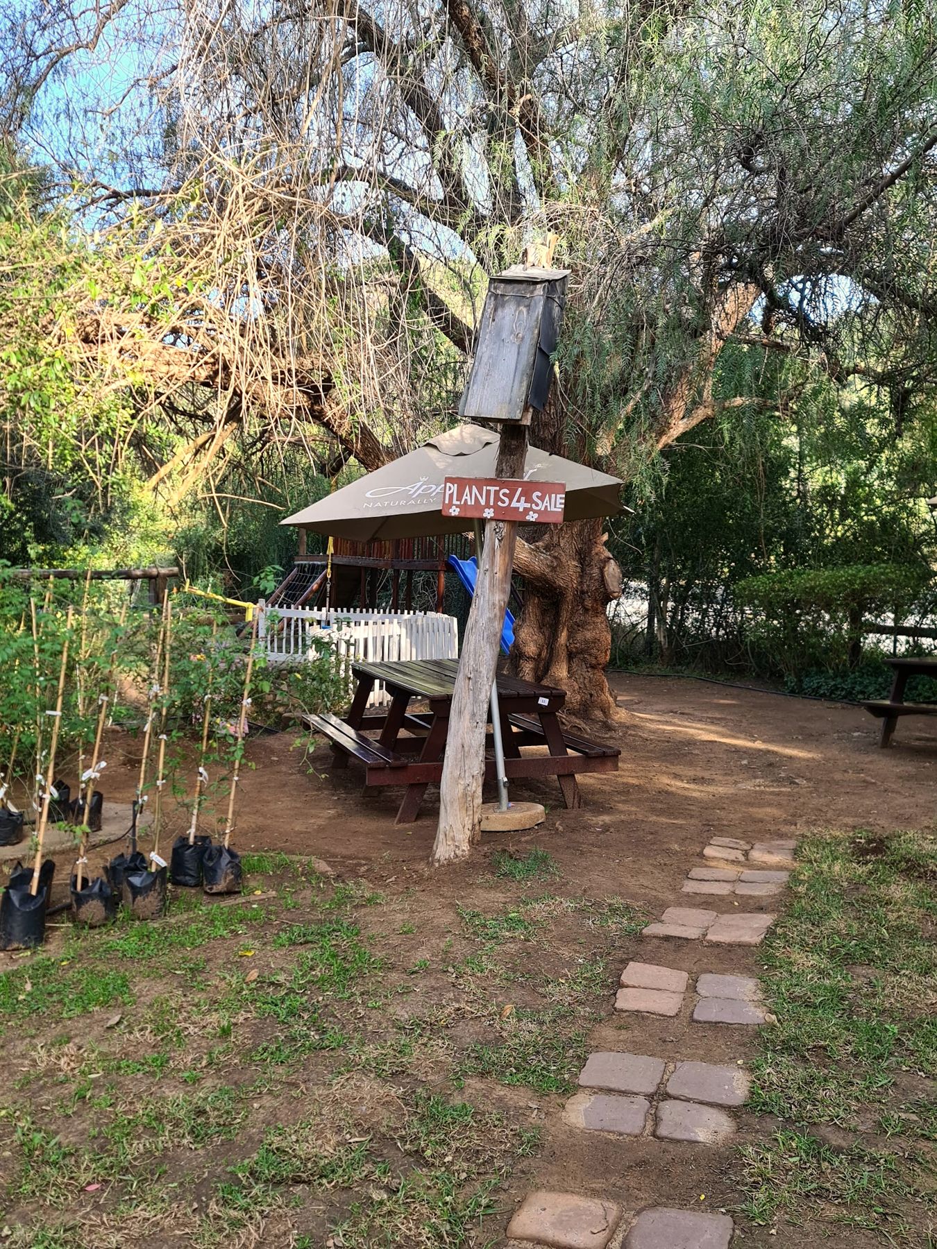 The garden